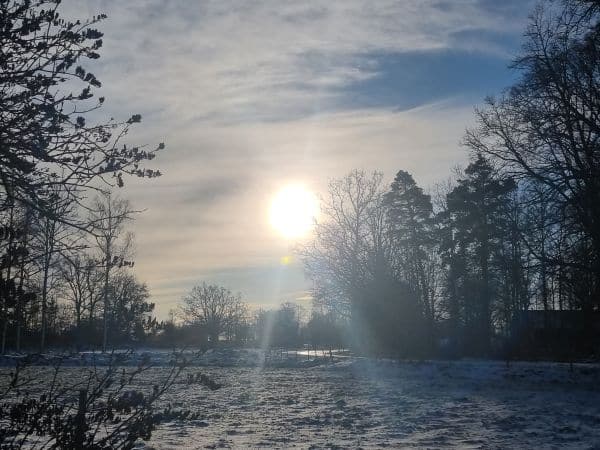 Winter Sun
