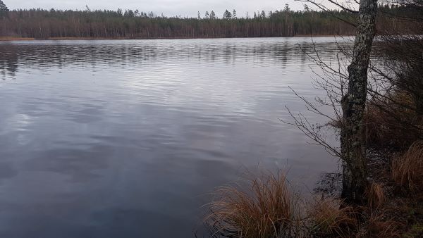 Lake