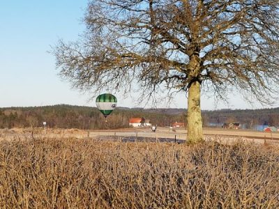 Friheten